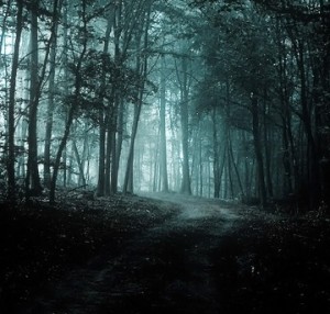 Photo by bogenfreund, used under Creative Commons license.